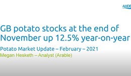 Potato Market Update February 2021